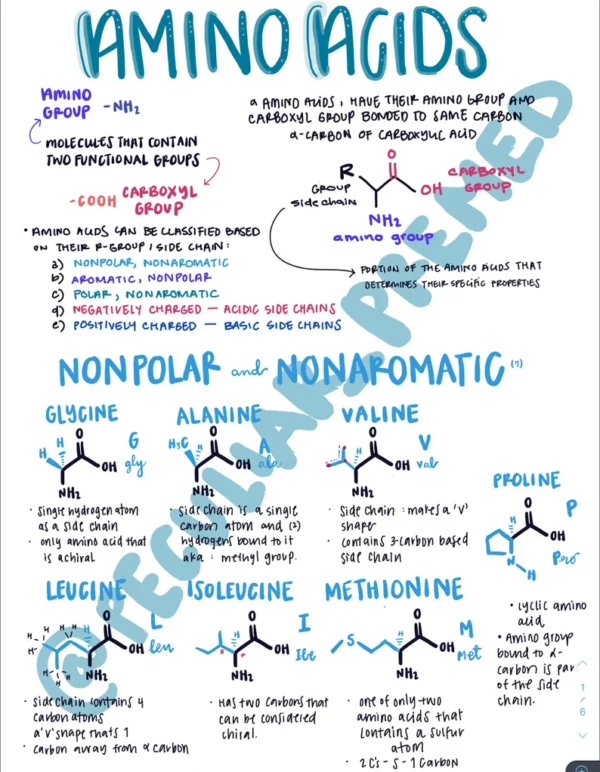 MCAT Amino Acids PDF