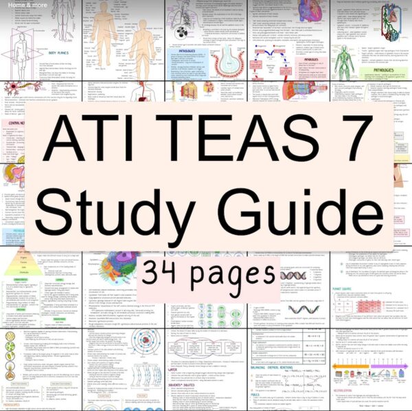 2023 ATI TEAS 7 Study Guide